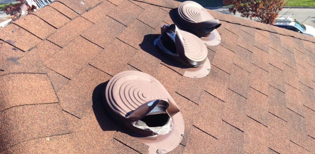 RACCOON REMOVAL - WILDLIFE CONTROL TORONTO