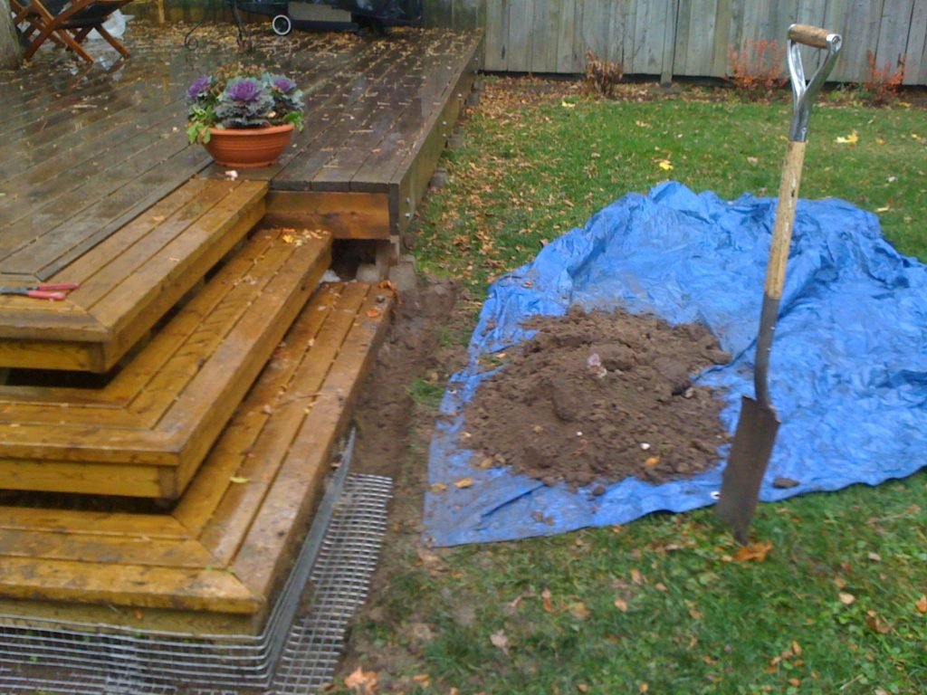 Best Skunk Removal Brampton Cost