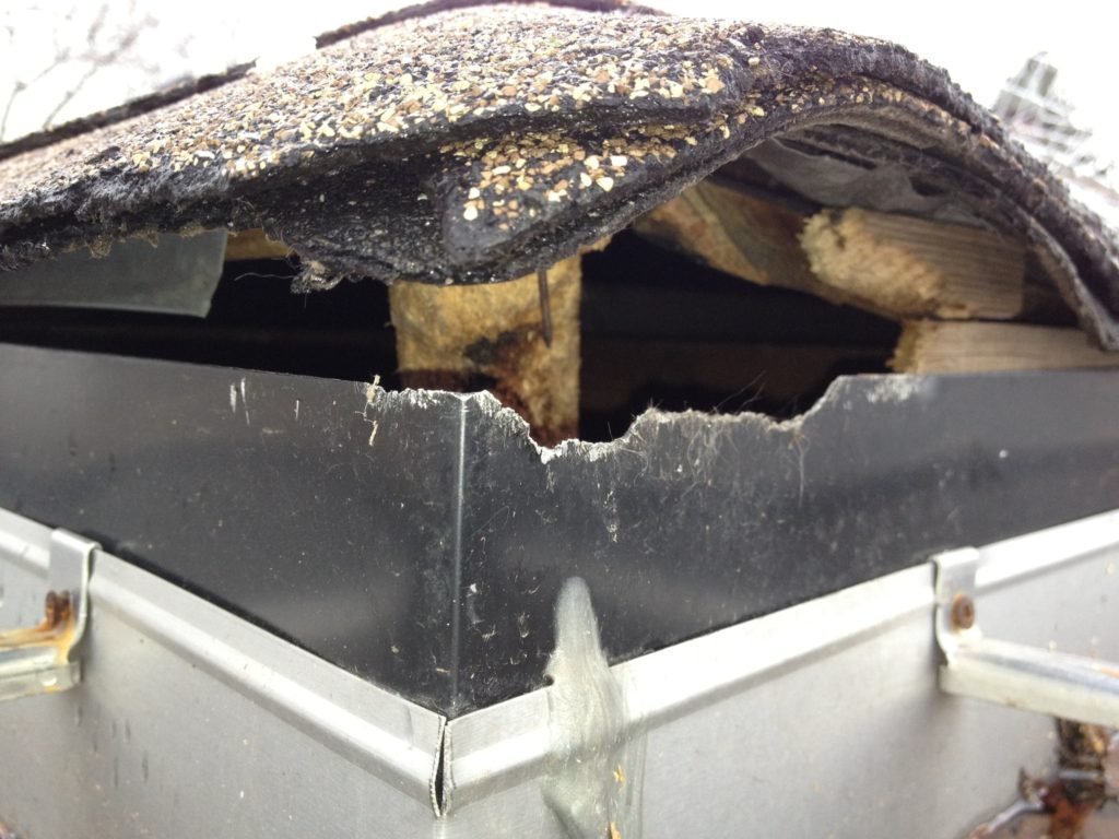 squirrel Removal, We get rid of squirrels and block potential entry points and Repair
