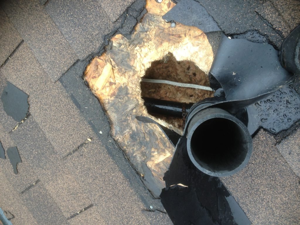 Animal Removal and Roof Vent Repairs