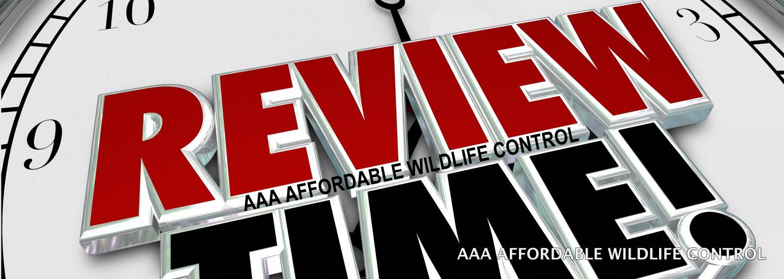 Wildlife Removal Toronto Reviews, Raccoon Removal Reviews, AAA Affordable Wildlife Control Reviews