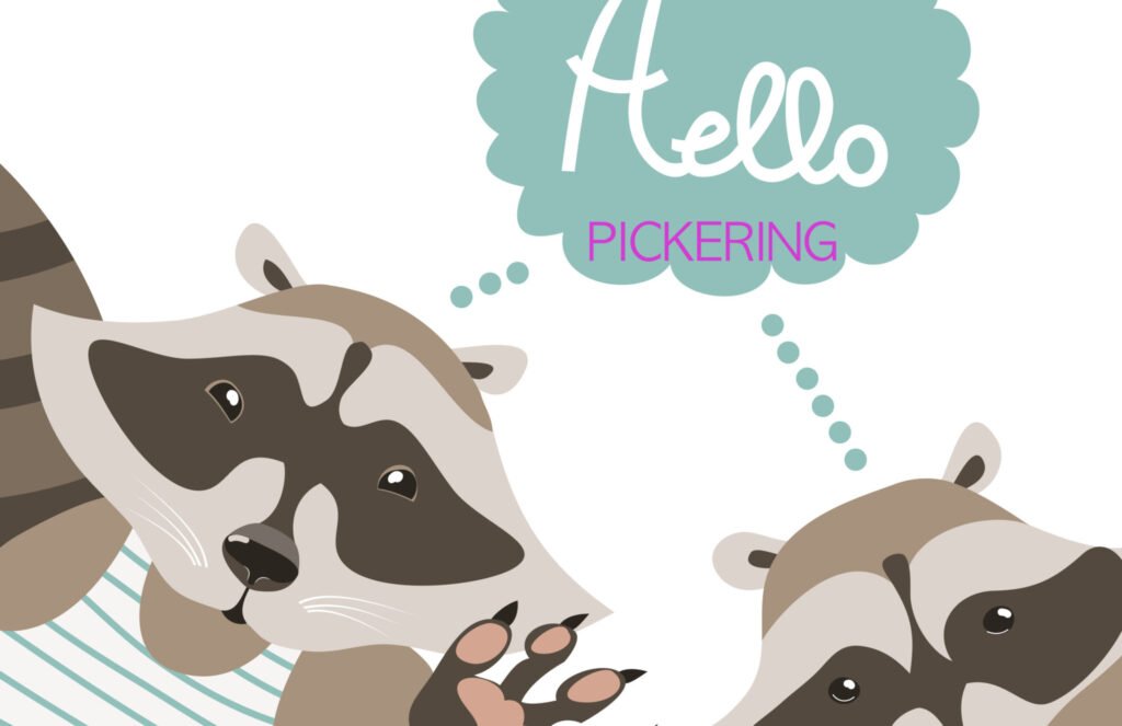 Wildlife Removal Pickering - Local Wildlife Control Pickering, Raccoon Removal Pickering, Squirrel Removal Pickering