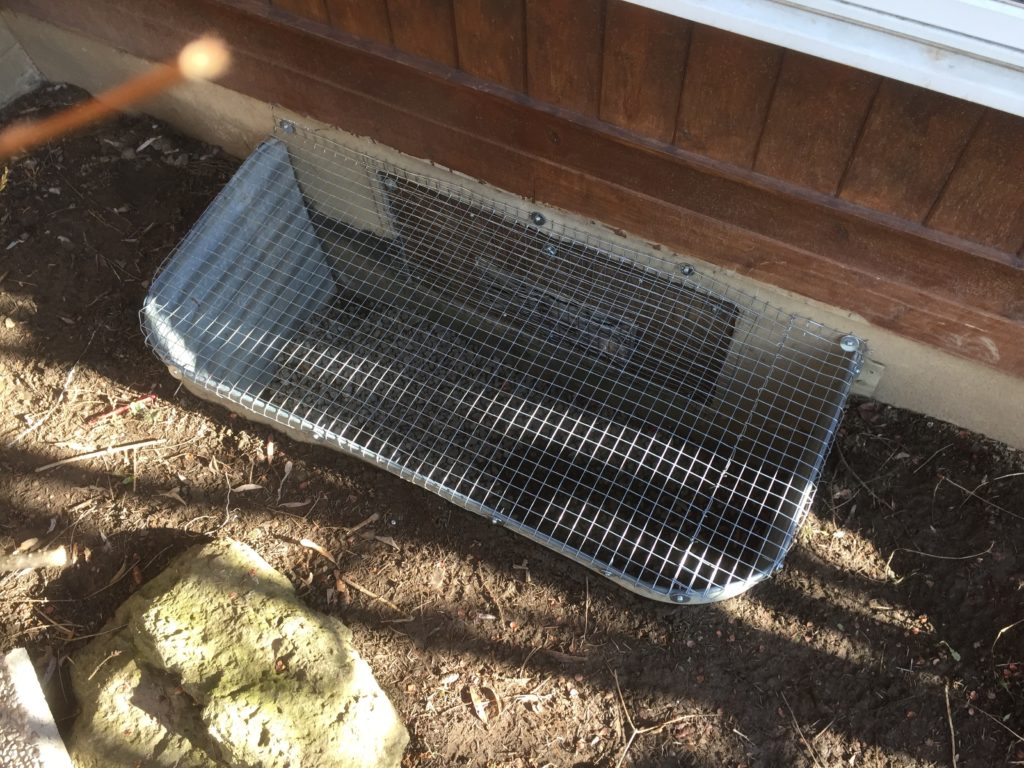 raccoon removal, Skunk Removal from window well protection screening