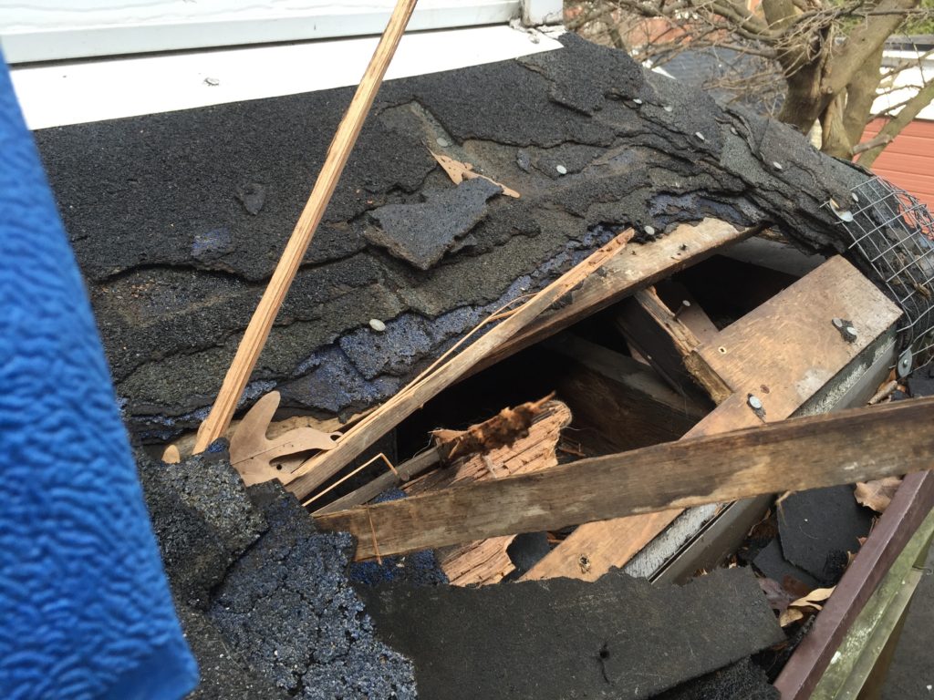 Roof Inspection To Find All Potential Entry Holes