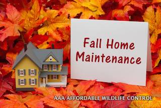 Animal Proof Your Home With AAA Affordable Wildlife Control