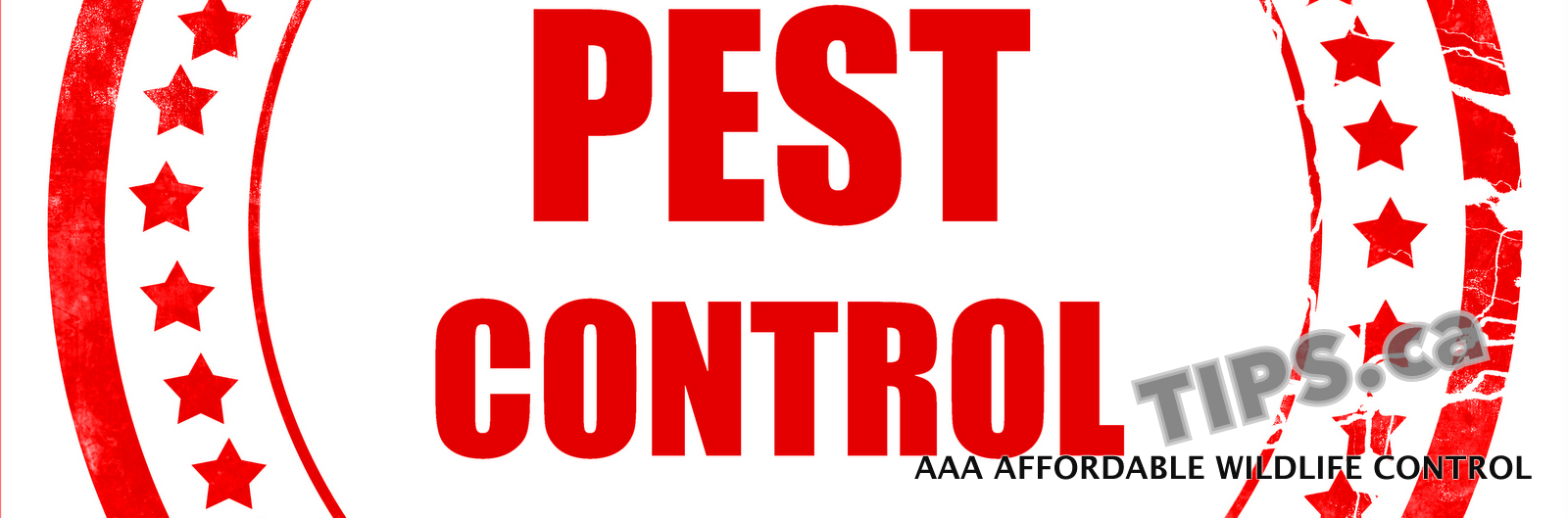 Pest Control, PEST CONTROL Brampton