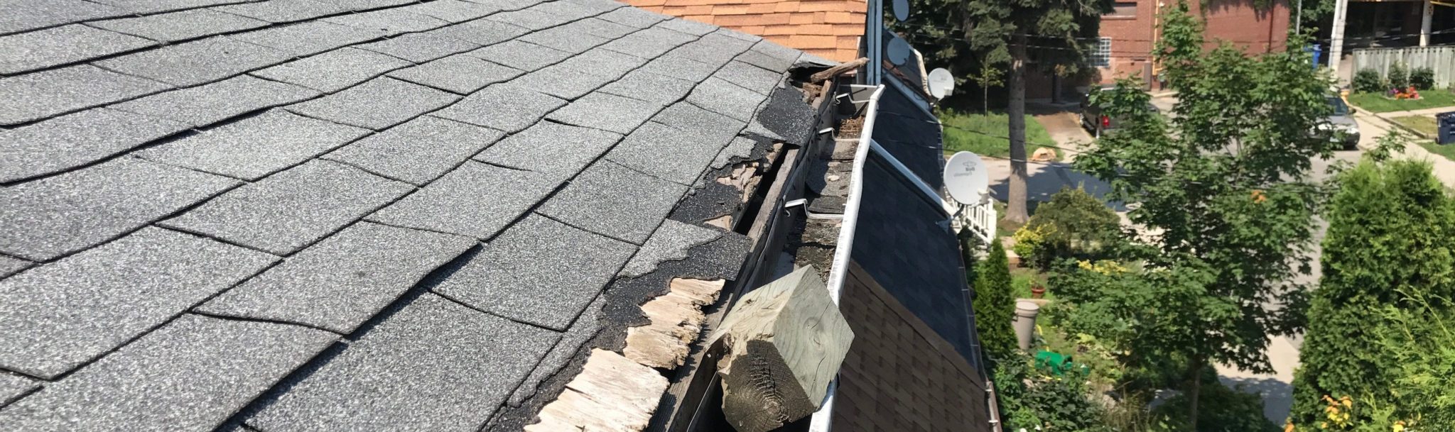 Raccoons Did This Shingle Damage In One Night