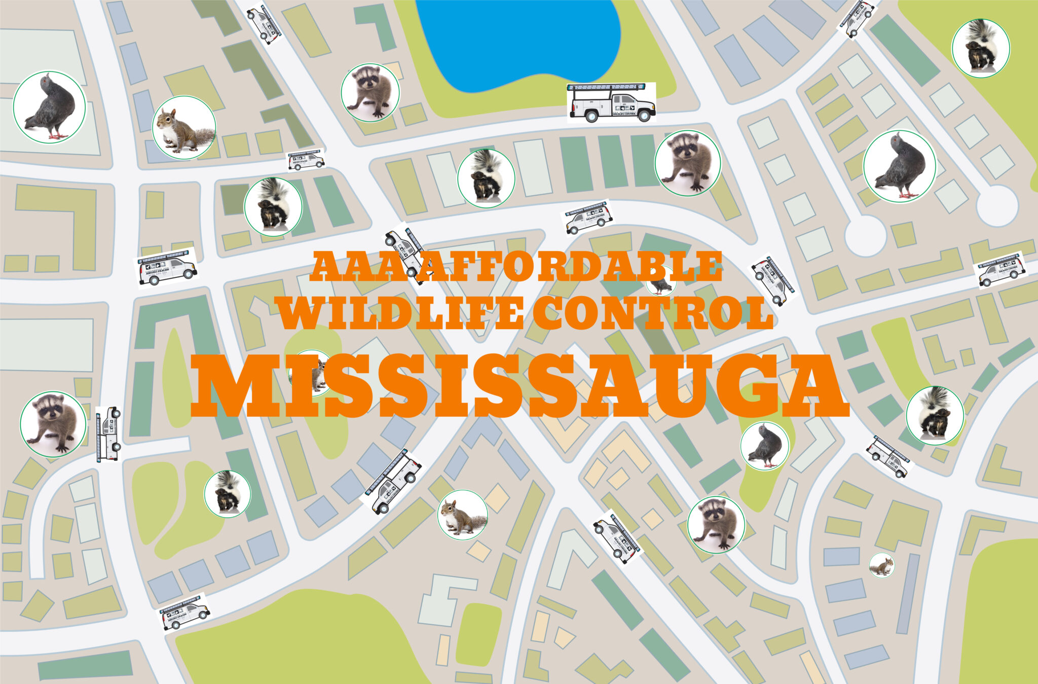 Wildlife Removal Mississauga, Squirrel Removal Mississauga, Raccoon Removal Mississauga