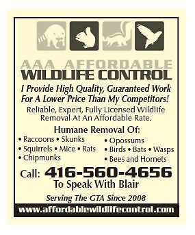 Wildlife Control