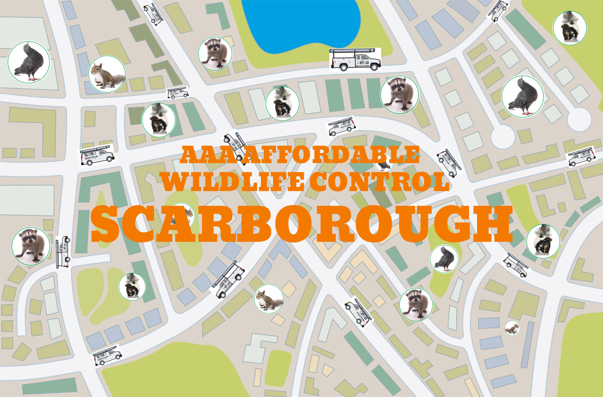 Wildlife Removal Scarborough, Raccoon Removal Scarborough, Squirrel Removal Scarborough.