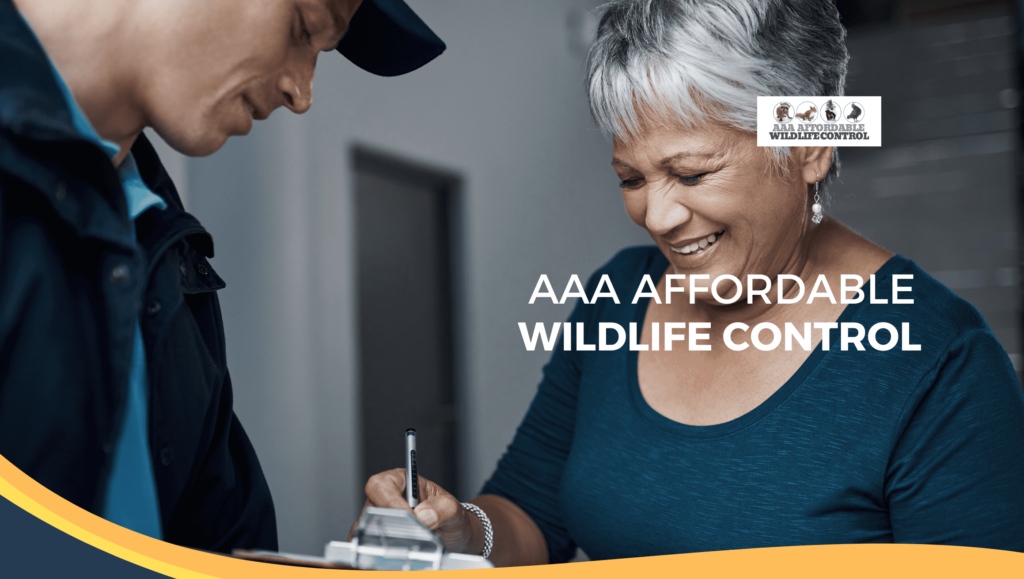 Wildlife Control Brampton, Animal Control Brampton