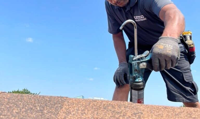 Wildlife Control Brampton, Wildlife Removal Brampton