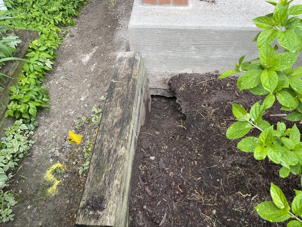 Skunk Control, Skunk entry hole under porch steps
