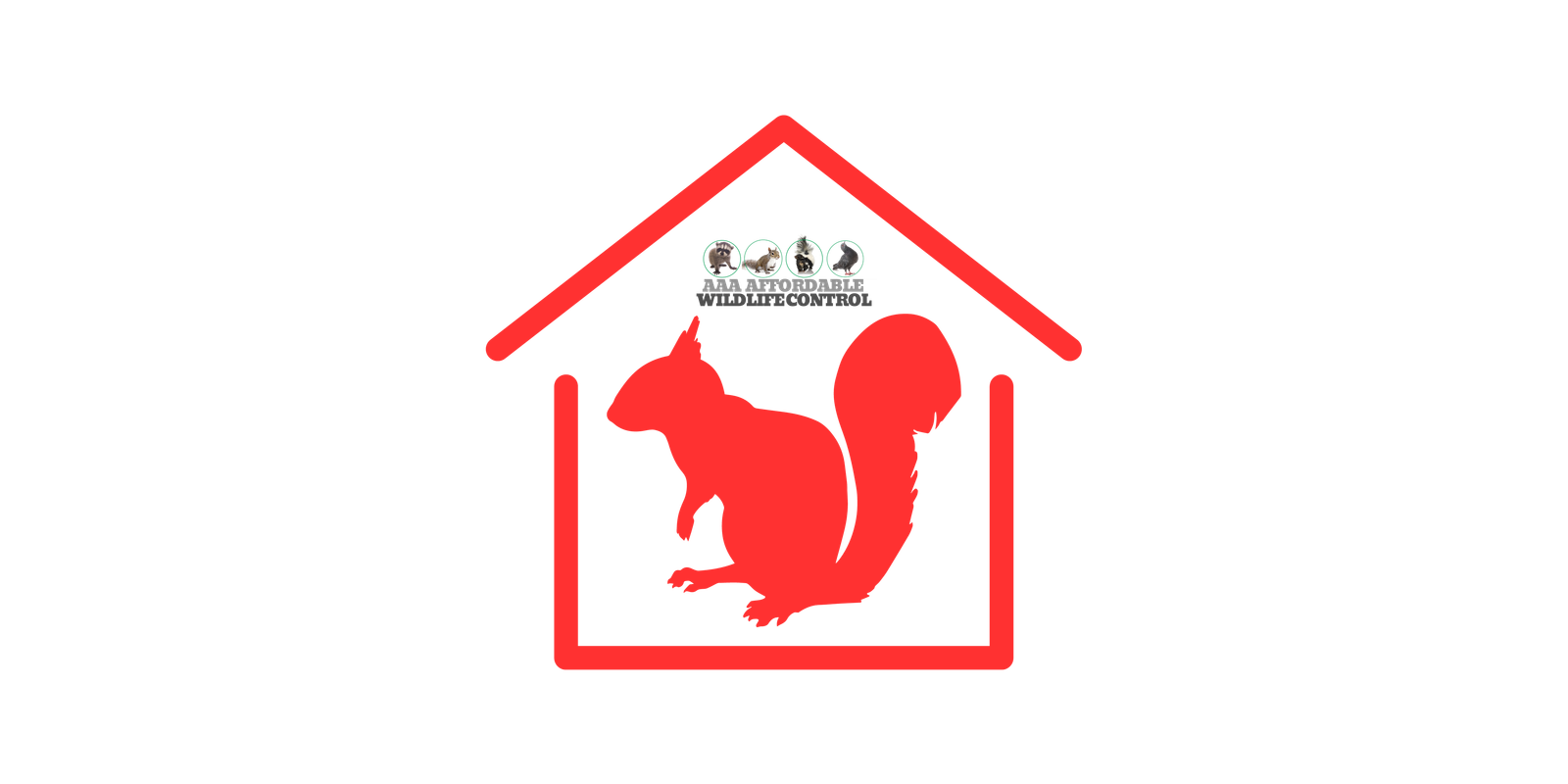 Squirrel Removal Toronto