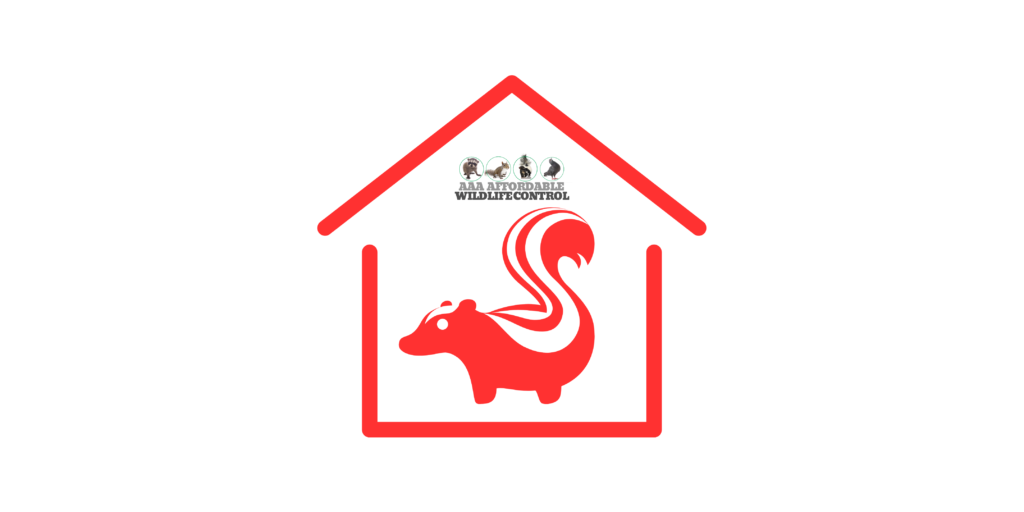 Skunk Removal