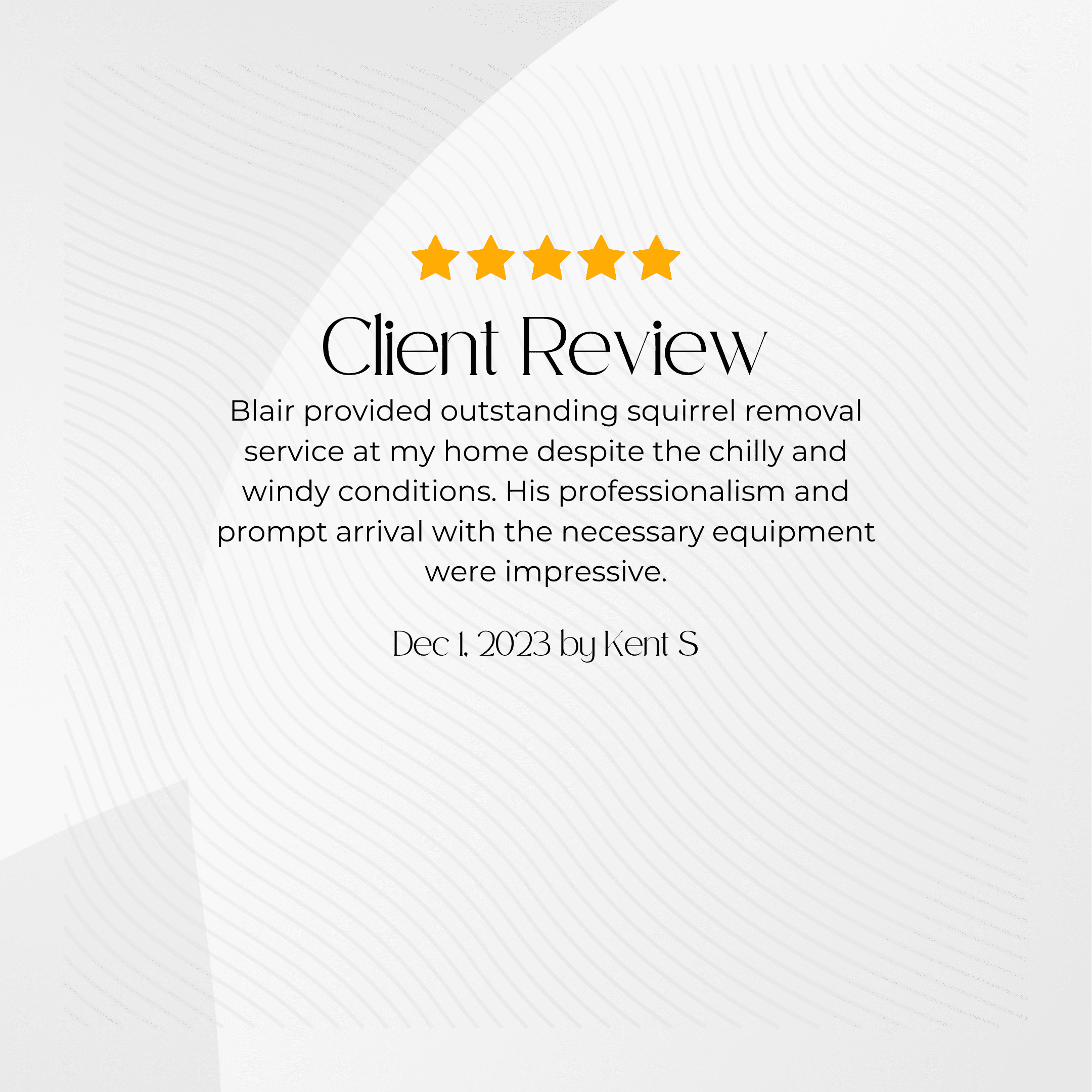 Client Review Testimonial Squirrel Removal Review