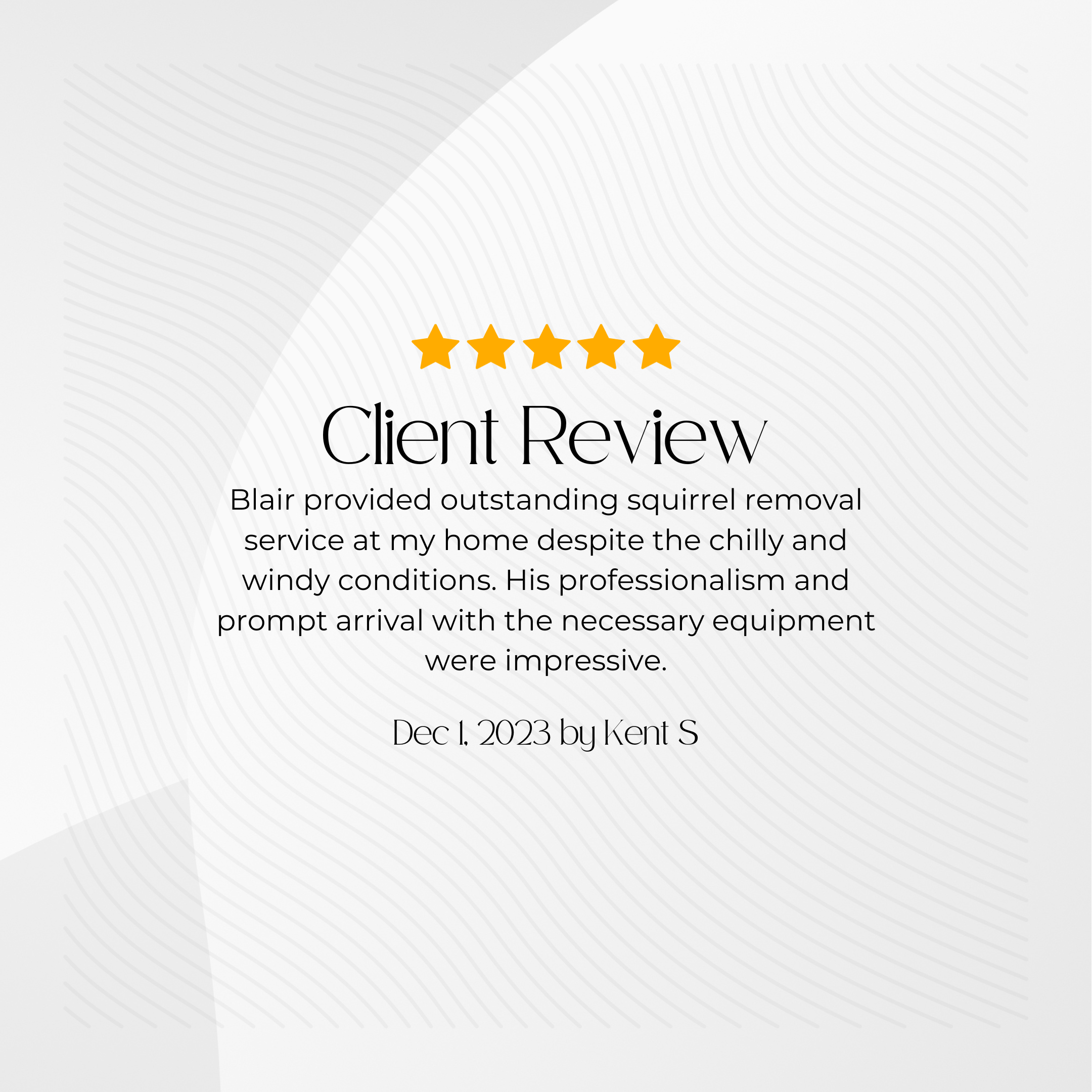 Client Review Testimonial Squirrel Removal Review