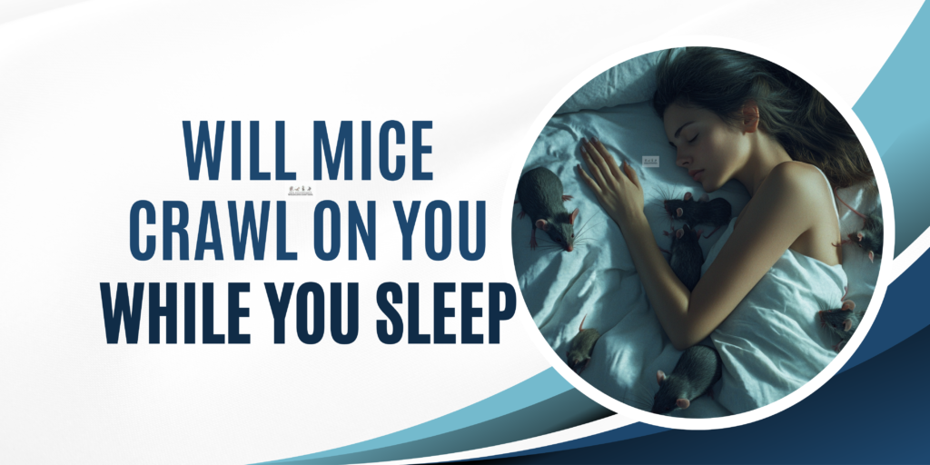 Will Mice Crawl On You While You Sleep