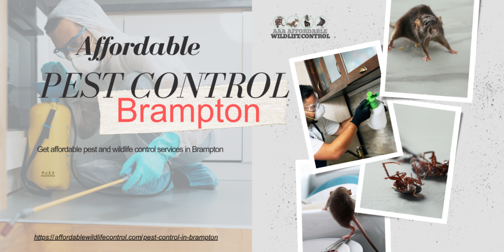 Affordable Pest Control Brampton, Affordable Waterloo Pest Control