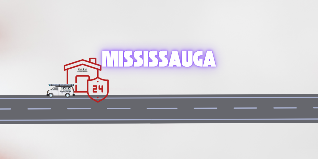 Wildlife Removal Mississauga