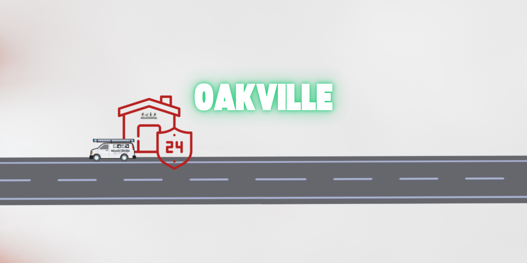 Wildlife Removal Oakville, Raccoon Removal Oakville, Squirrel Removal Oakville