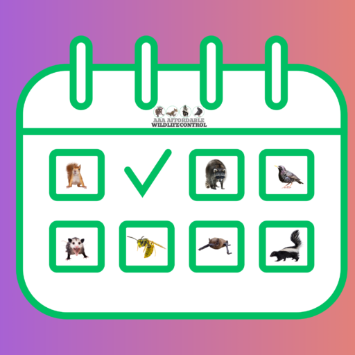 Wildlife Calendar 2025: Wildlife Control Calendar