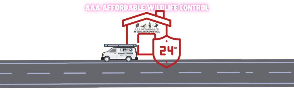 Wildlife Control, Wildlife Removal, logo