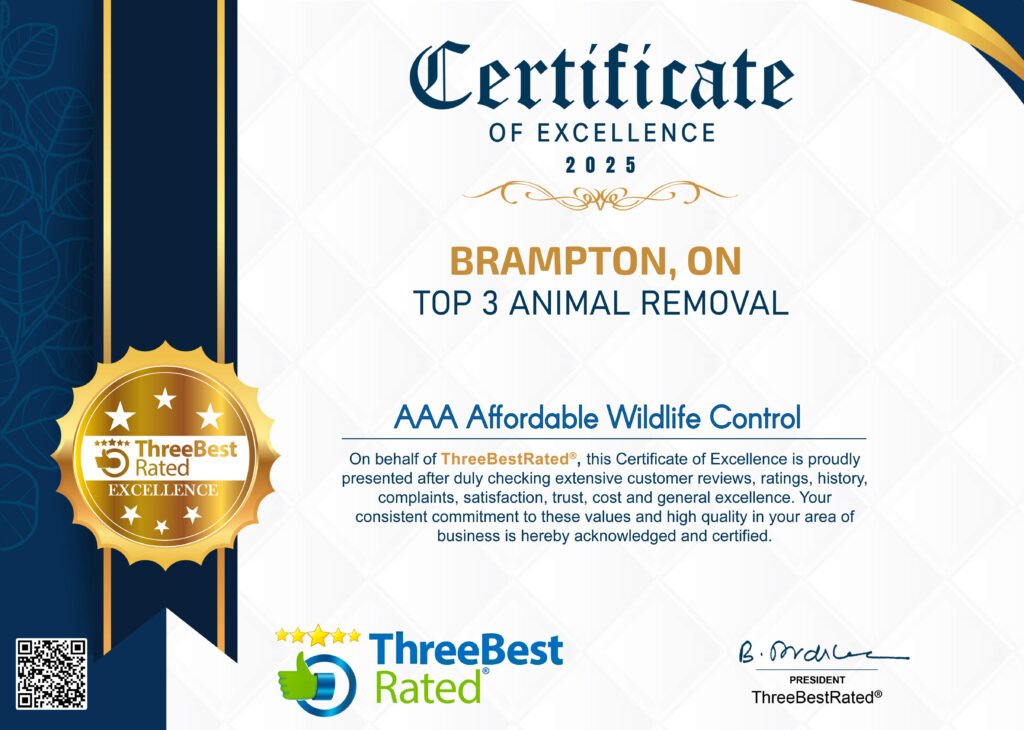 AAA Affordable Wildlife Control Reviews, Wildlife Control Removal Reviews.png
