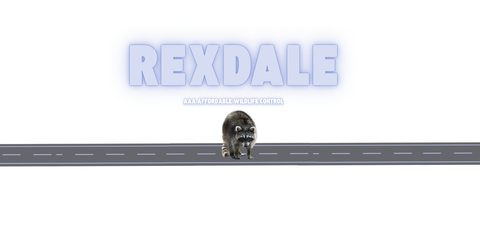 Raccoon Removal Rexdale, Wildlife Control Near Rexdale