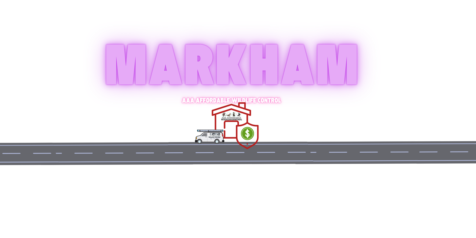 Wildlife Control Services in Markham