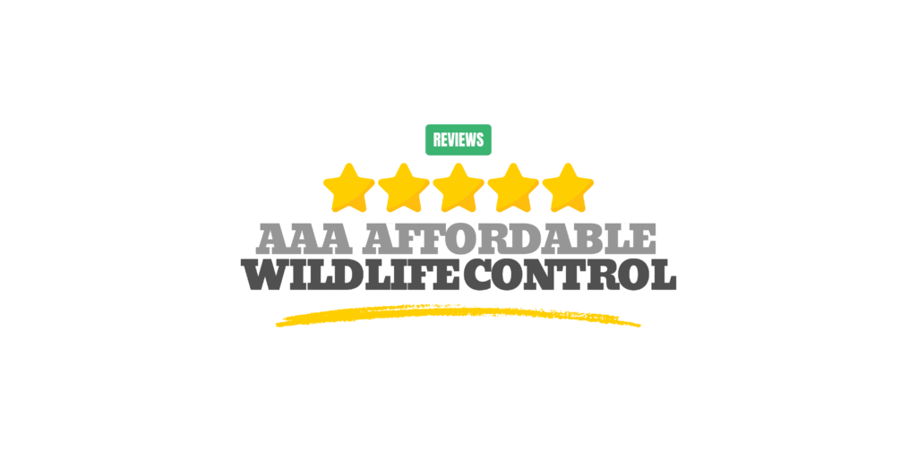 Wildlife Removal Toronto reviews, Affordable Wildlife Removal Reviews, AAA Affordable Wildlife Control Reviews
