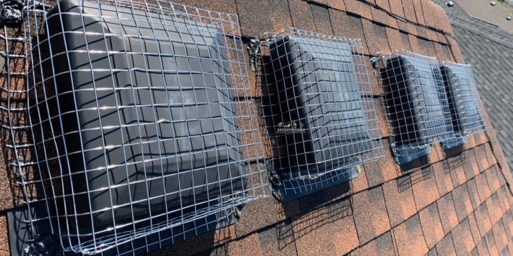 Wildlife Prevention, Roof Vent Screening
