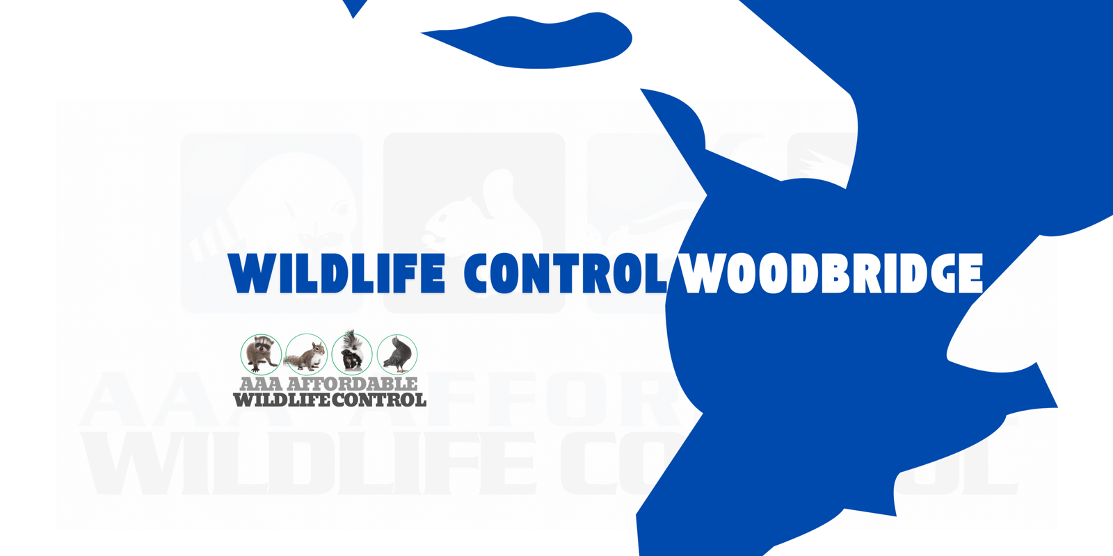 Wildlife Removal Woodbridge, Wildlife Control