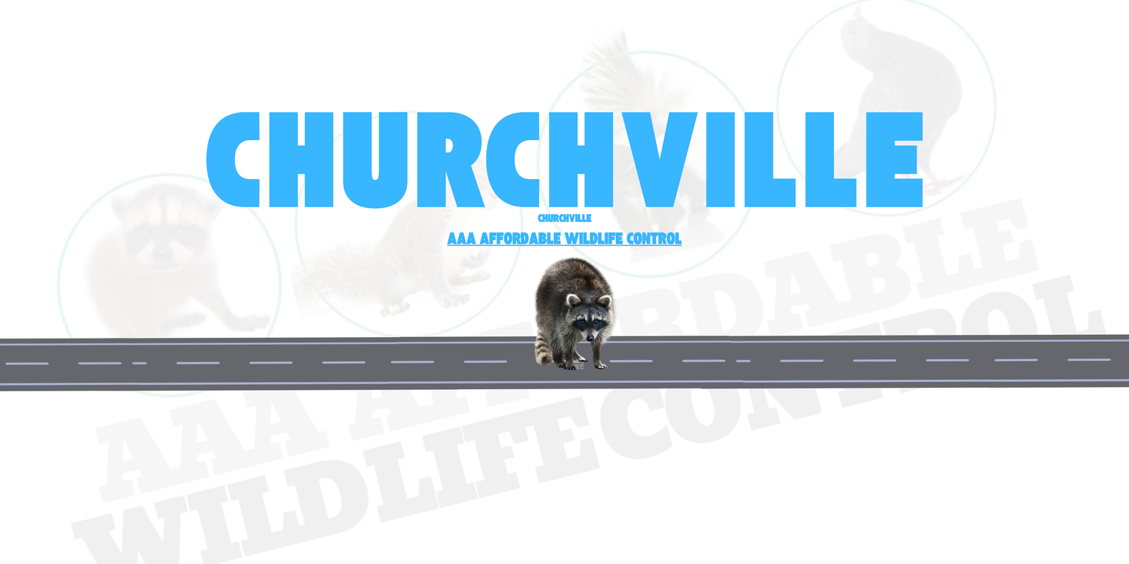 Raccoon Removal Churchville
