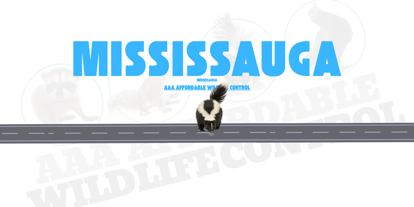 Skunk Removal Mississauga