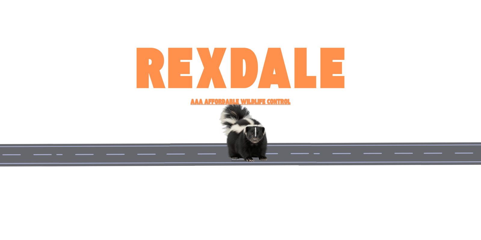 Skunk Removal Rexdale
