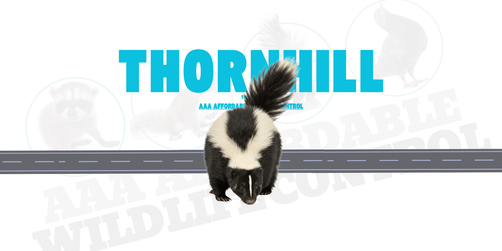 Skunk Removal Thornhill