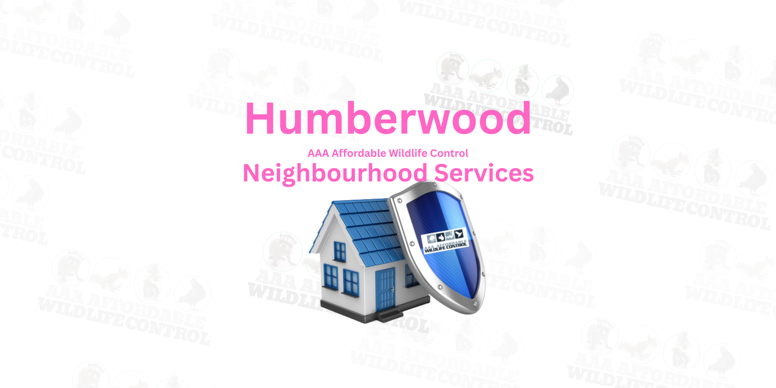 Squirrel Removal Humberwood, AAA Affordable Wildlife Control