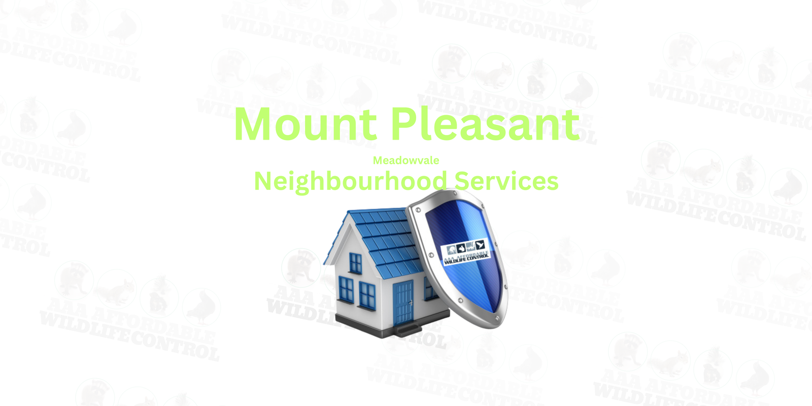 Wildlife Control Near Mount Pleasant in Brampton