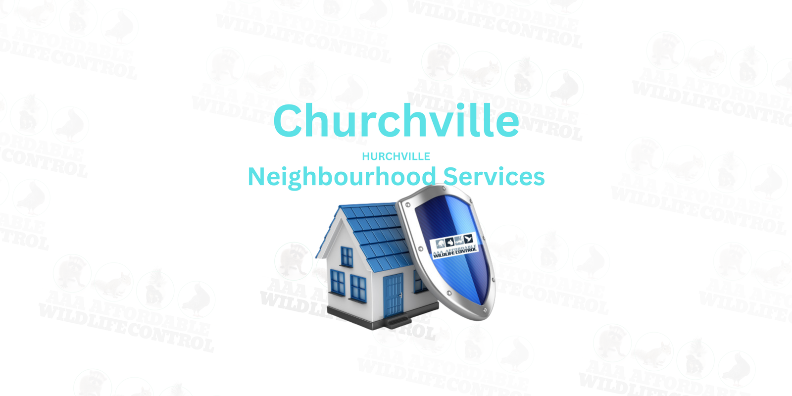Wildlife Removal Churchville, AAA Affordable Wildlife Control