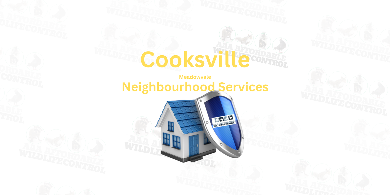 Wildlife Removal Cooksville Mississauga, AAA Affordable Wildlife Control