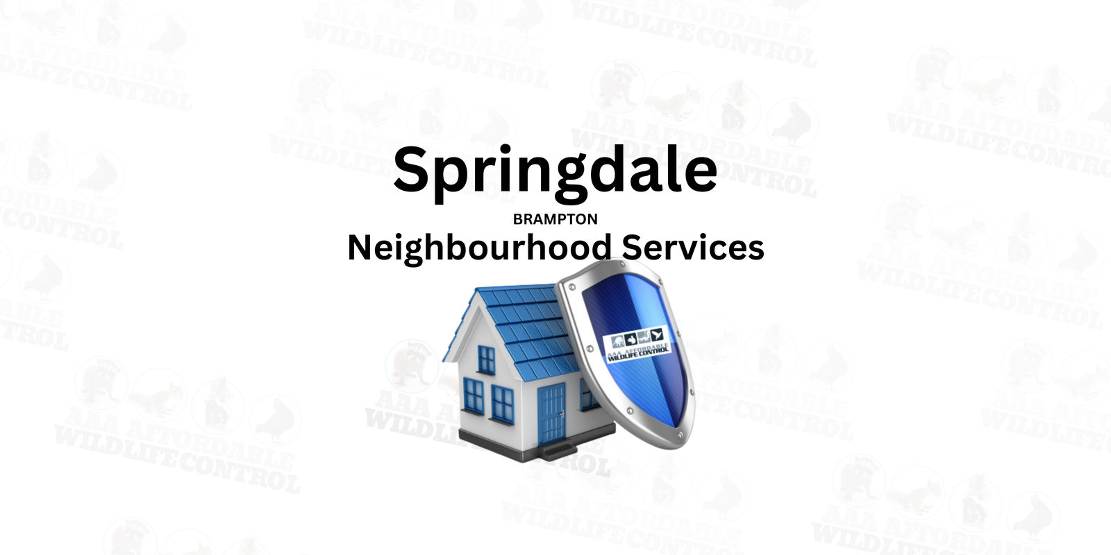 Wildlife Removal Near Springdale in Brampton