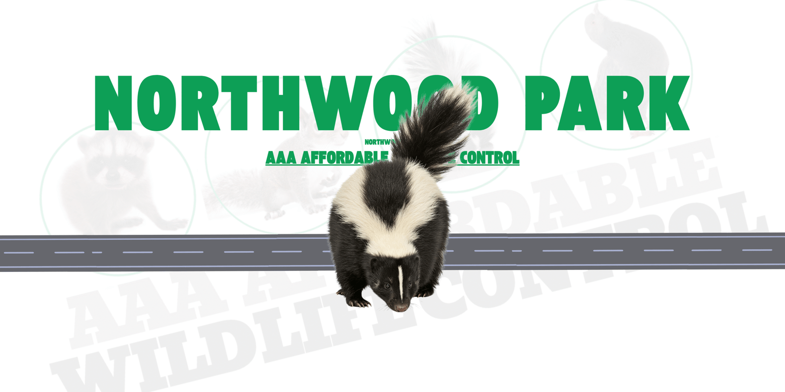 Skunk Removal in Northwood Park Brampton, AAA Affordable Wildlife Control