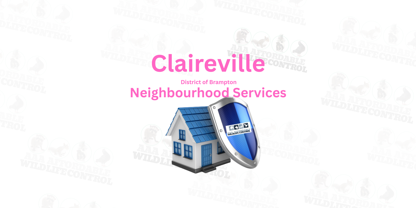 Wildlife Removal Claireville, AAA Affordable Wildlife Control