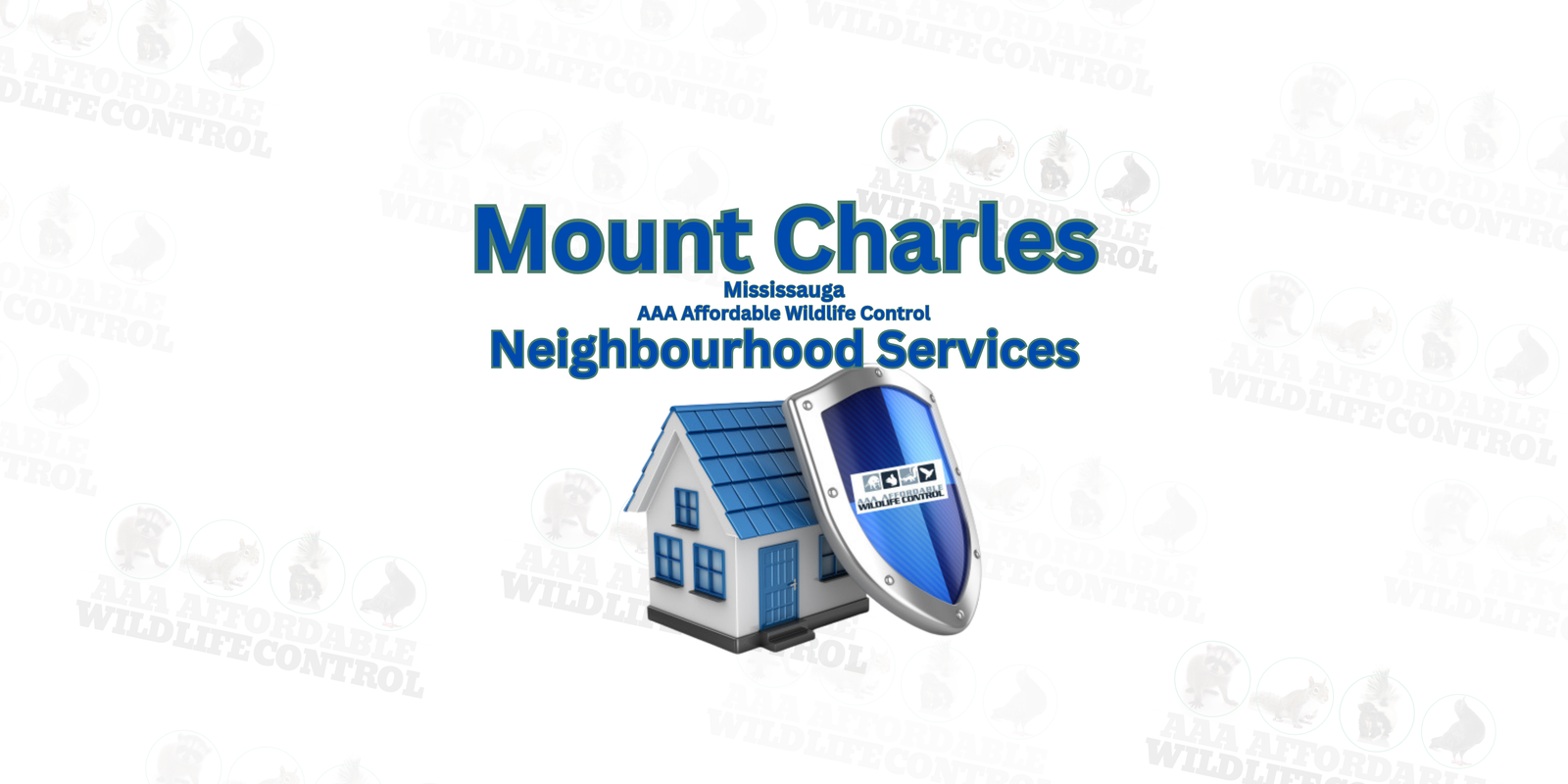 Wildlife Removal Mount Charles, Mississauga, AAA Affordable Wildlife Control