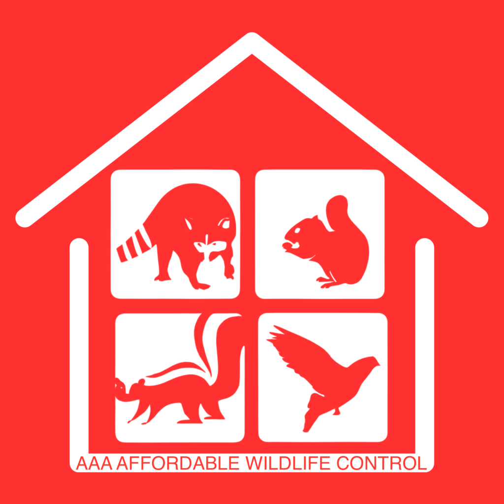 AAA Affordable Wildlife Control logo Toronto