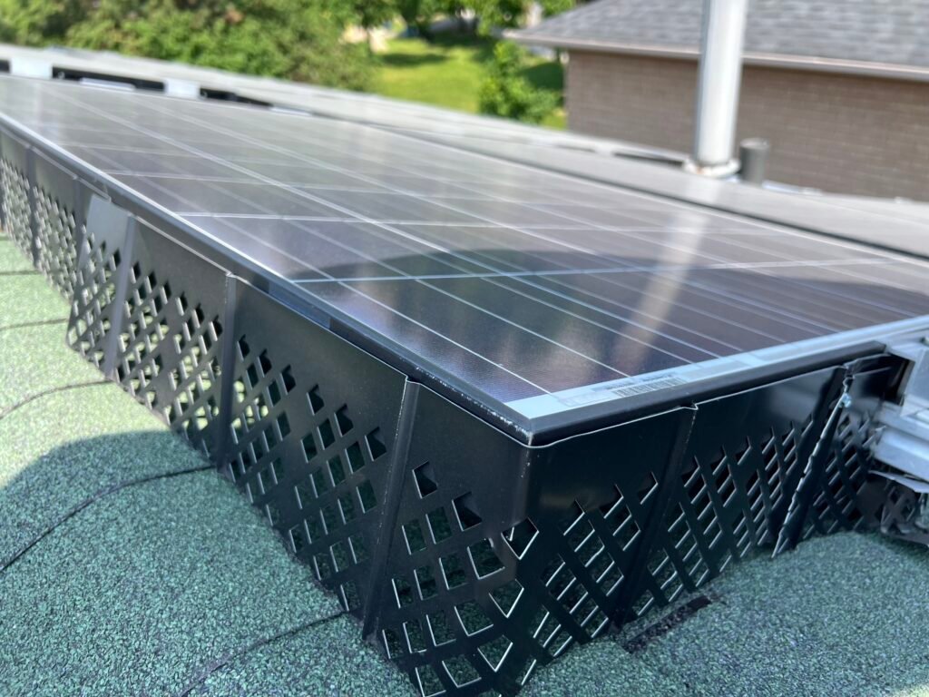 How to Raccoon and Squirrel-Proof Solar Panels in Brampton
